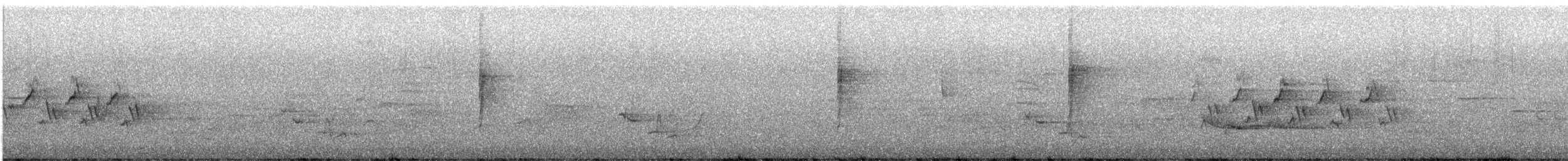 Mourning Warbler - ML636510147