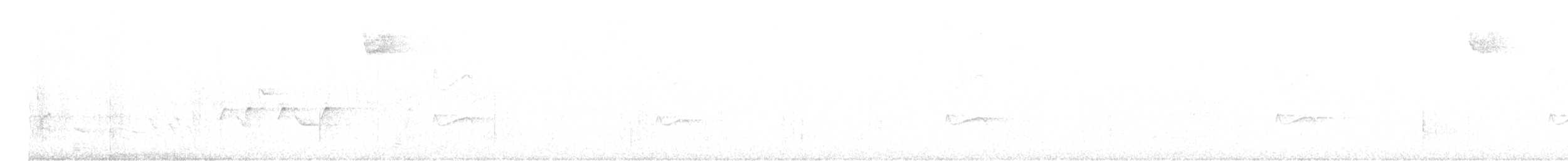 Yellow-bellied Flycatcher - ML636510290