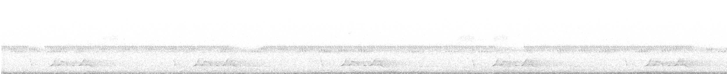 Chuck-will's-widow - ML636512755