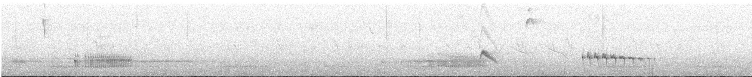 Panao Antpitta - ML636514478