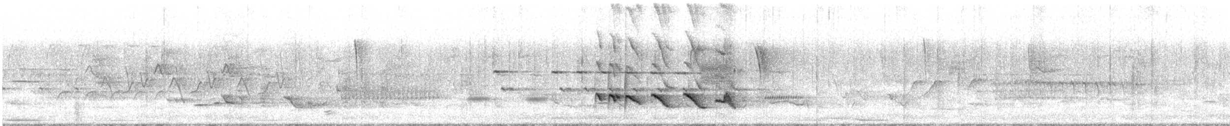 Baltimore Oriole - ML636514493