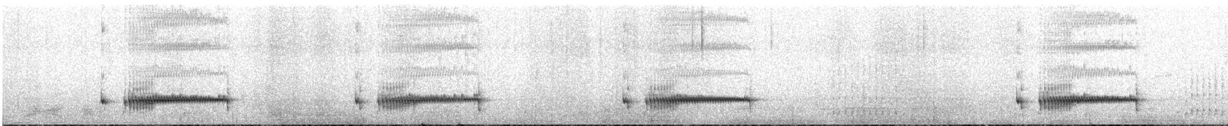 Panao Antpitta - ML636514657