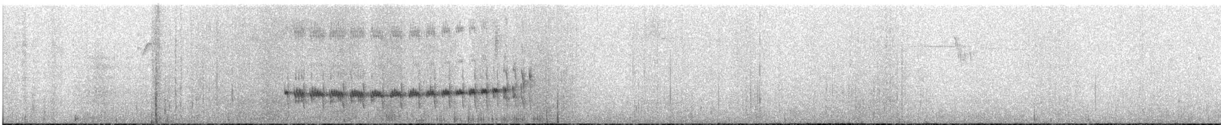 Panao Antpitta - ML636514950