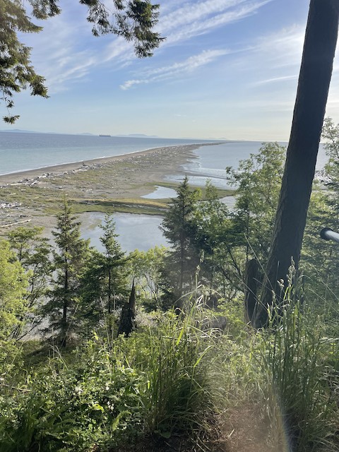 Dungeness NWR--Dungeness Spit, Clallam, Washington, United States - eBird  Hotspot