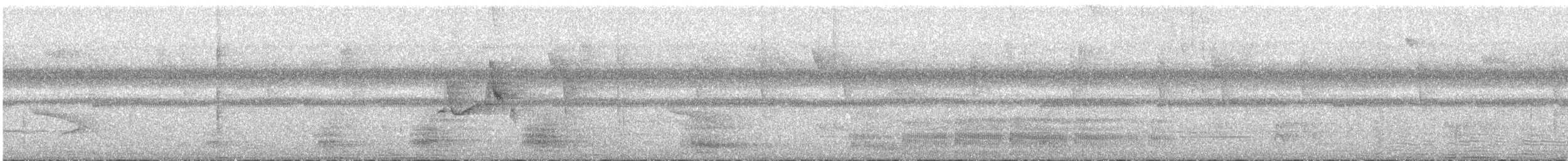Anhinga - ML636519438