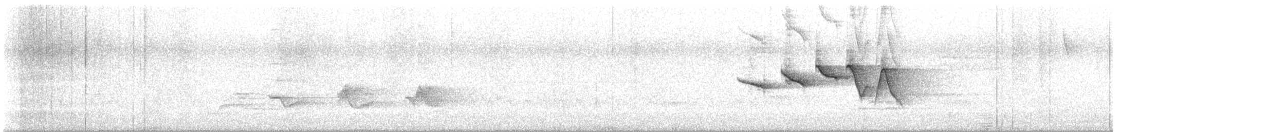 チャカブリアメリカムシクイ - ML636520971
