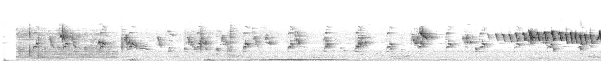 American Avocet - ML636523171