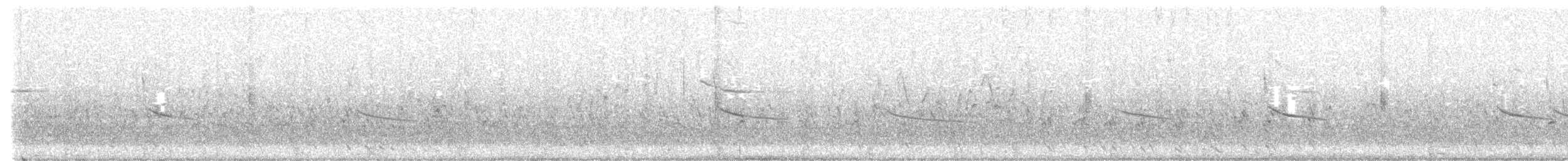 Semipalmated Sandpiper - ML636523363