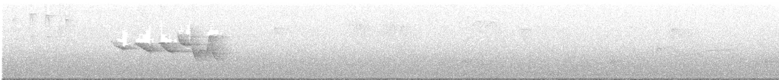 Swainson's Warbler - ML636526120