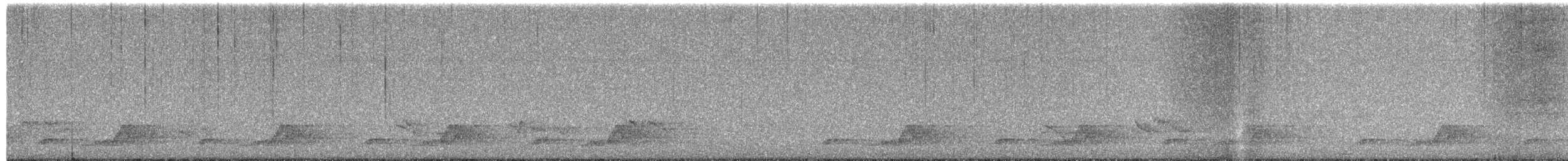 Eastern Whip-poor-will - ML636526465