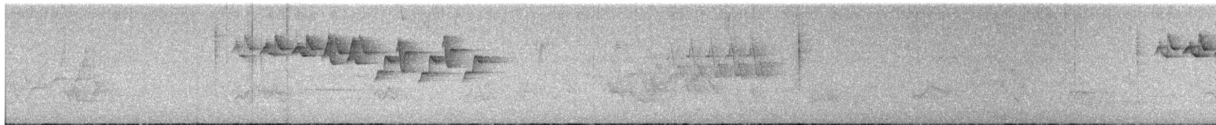 Black-and-white Warbler - ML636526515