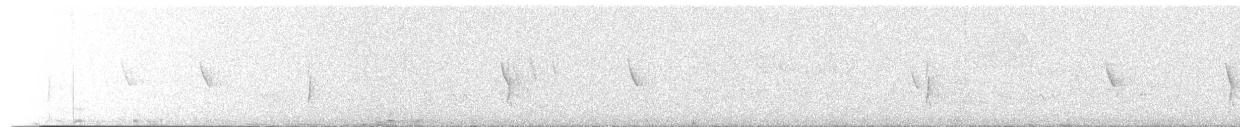 Pine Flycatcher - ML636527291