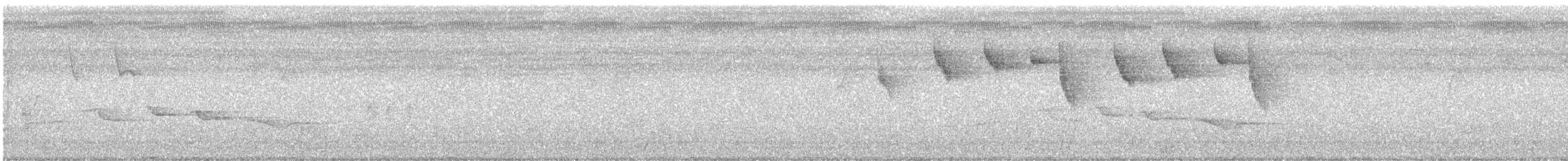 メガネヒヨドリ - ML636527980
