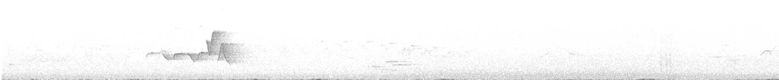 クロズキンアメリカムシクイ - ML636527997