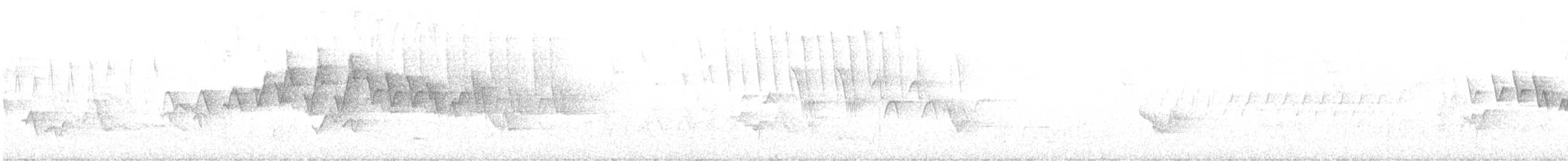 ワキチャアメリカムシクイ - ML636528008