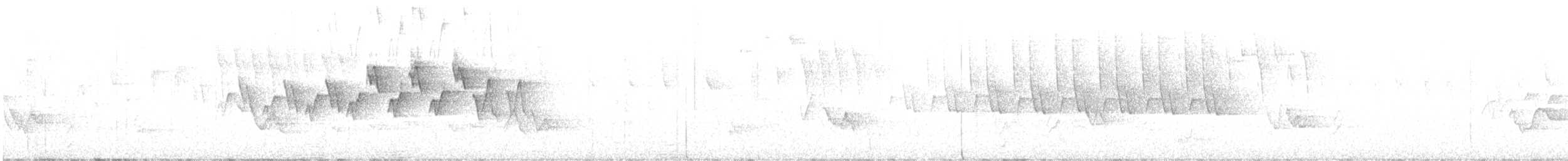 シロオビアメリカムシクイ - ML636528151