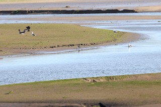 Hayle Estuary RSPB Reserve--Lelant Water, Cornwall, England, United ...