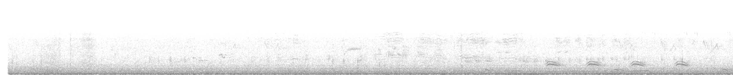 Cormorano - ML636532104