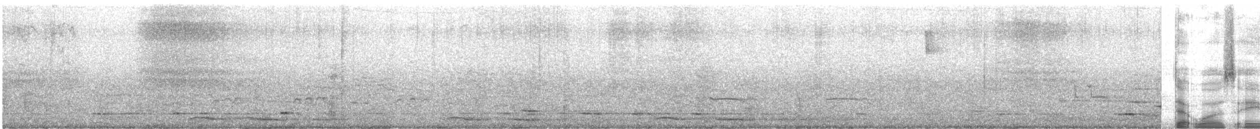 Morepork - ML636533233