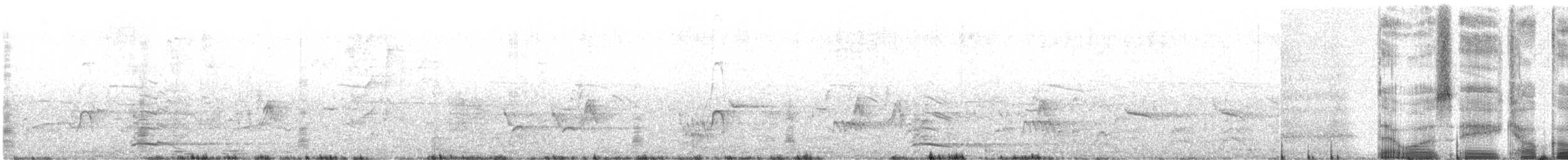 Kelp Gull - ML636533588