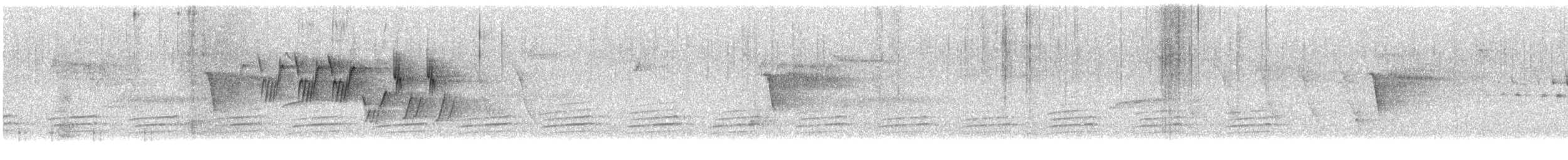 MacGillivray's Warbler - ML636536231