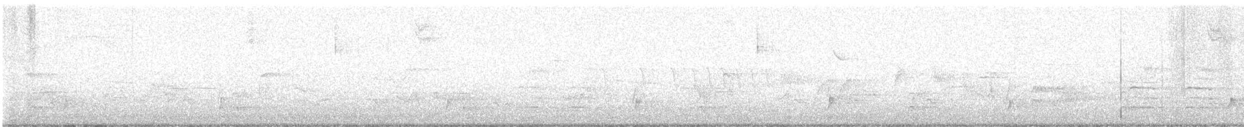 Tordo di Swainson - ML636536267