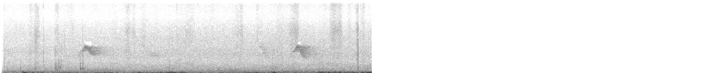 Bicknell's Thrush - ML636536820