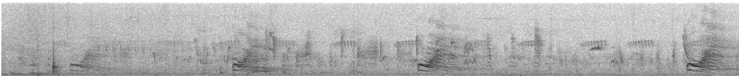 Gray Go-away-bird - ML636536906