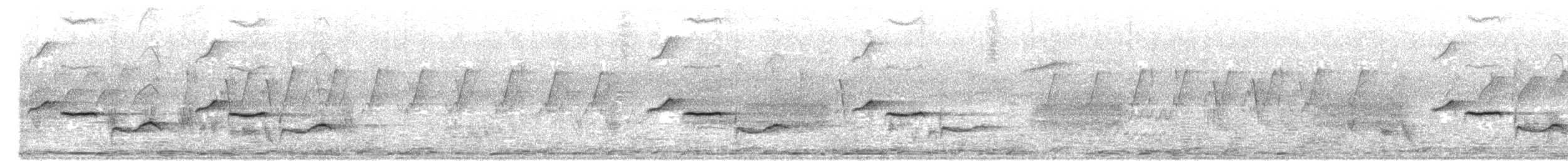 Oriental Magpie-Robin - ML636537161