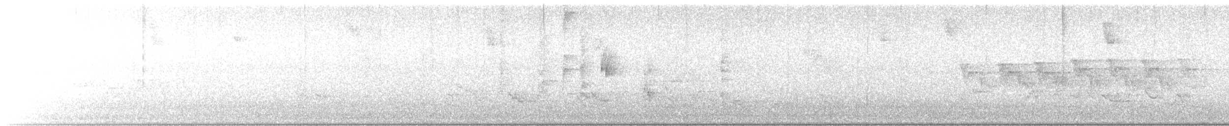 Western Warbling Vireo - ML636538468