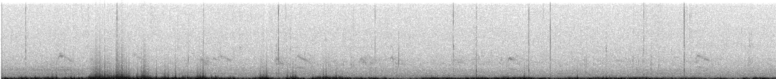 Forster's Tern - ML636539461