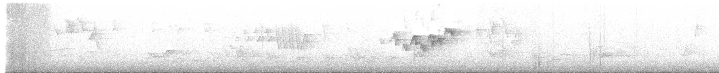 Magnolia Warbler - ML636539492