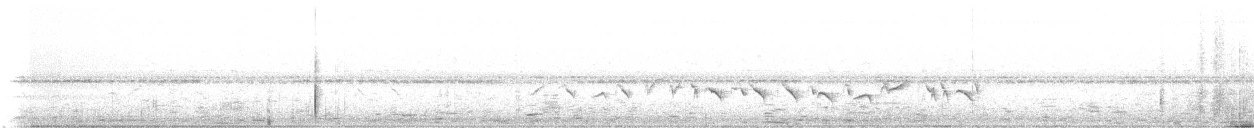 Chestnut-bellied Seed-Finch - ML636539858