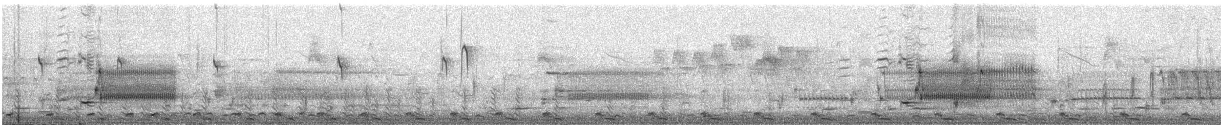 Txilinporta mokolodia - ML636541956