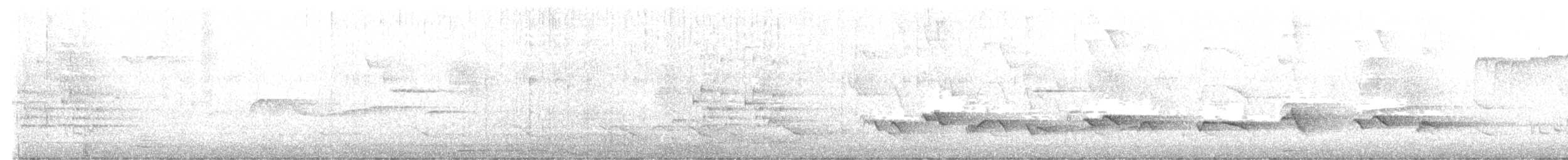 ナツフウキンチョウ - ML636542693