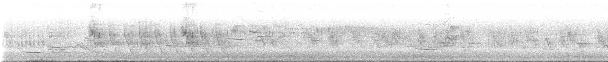 Hermit Thrush - ML636542934