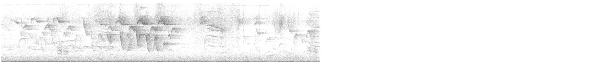 Connecticut Warbler - ML636543007