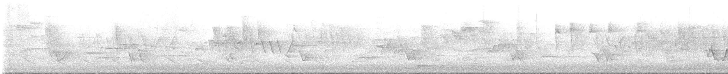 ズグロアメリカムシクイ - ML636546944