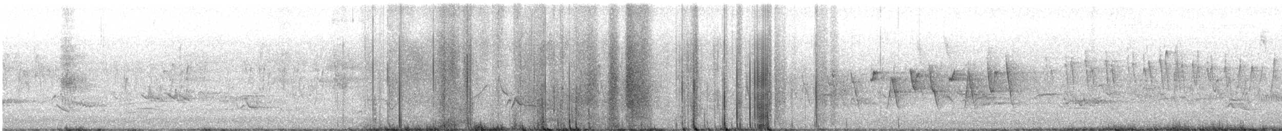 Connecticut Warbler - ML636549111