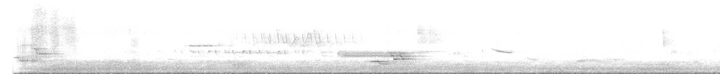 Wood Thrush - ML636551524