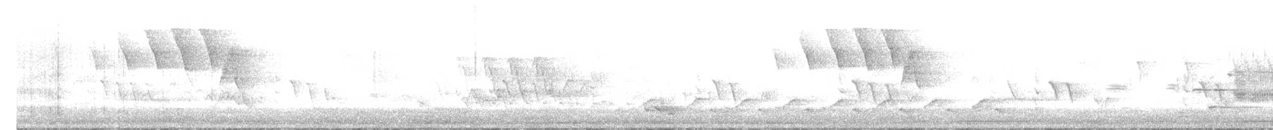 American Redstart - ML636551568