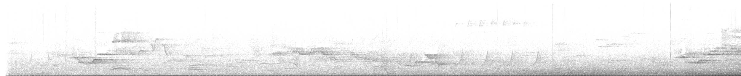 Wood Thrush - ML636551706