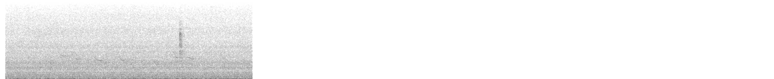 Wilson's Warbler - ML636554793