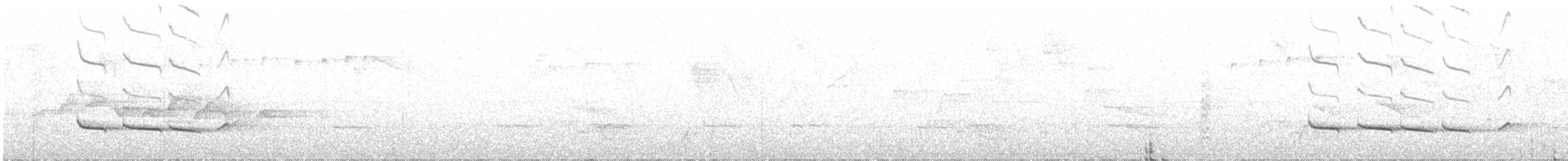 Black-and-white Becard - ML636557310