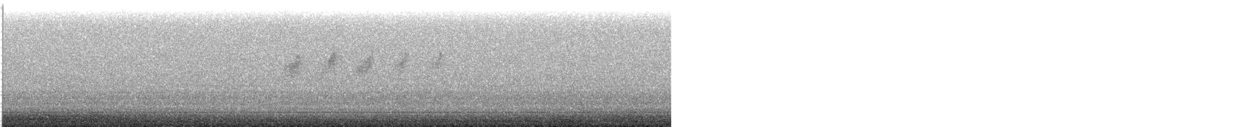 bird sp. - ML636558273