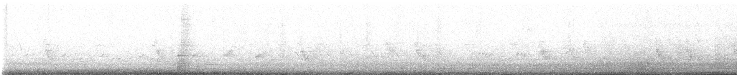 Northern Mockingbird - ML636558469