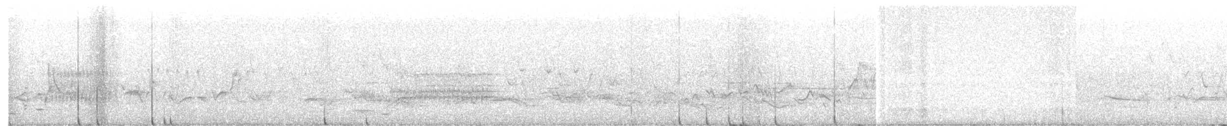 Red-shouldered Hawk - ML636558632