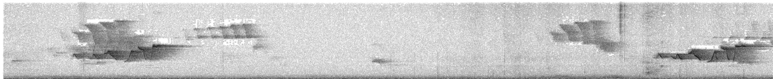 hetteparula - ML636564520