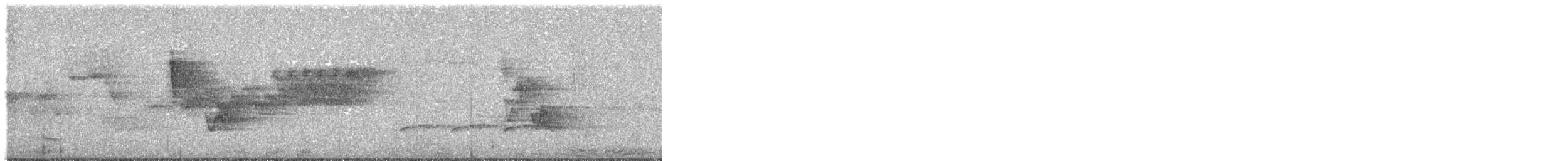 asurparula - ML636564573