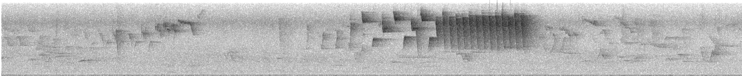 Paruline obscure - ML636567868